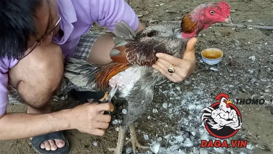 cách Chăm sóc sức khỏe đúng cách tại daga