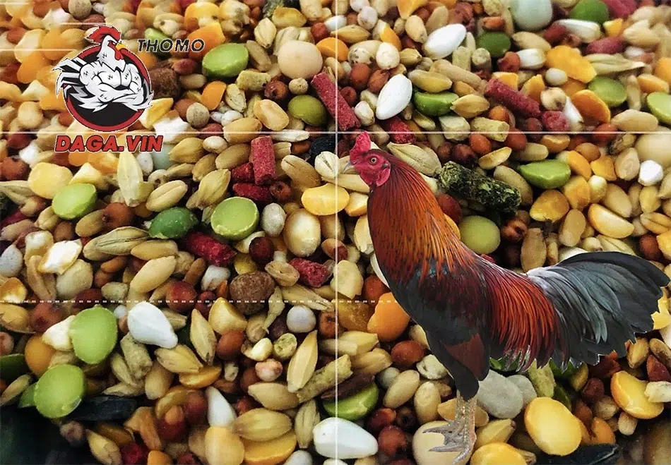Bổ sung dinh dưỡng đầy đủ, hợp lý