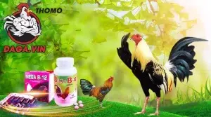 đa dạng Vitamin và khoáng chất