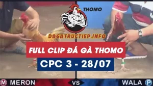 Full Video phát lại Trực tiếp đá gà Thomo C3 ngày 28/07/2024