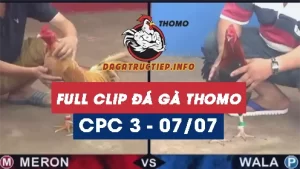 Full Video phát lại Trực tiếp đá gà Thomo ngày 07/07/2024