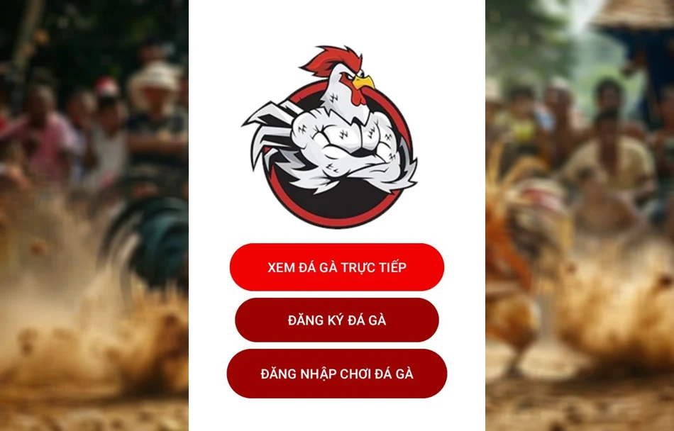 Kiểm tra lại kết nối mạng