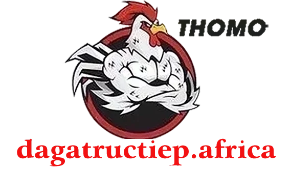 XEM ĐÁ GÀ THOMO TRỰC TIẾP C1 C2 C3 C4 C5 C6 NGÀY HÔM NAY